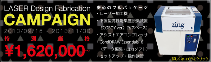 2013LDFキャンペーン